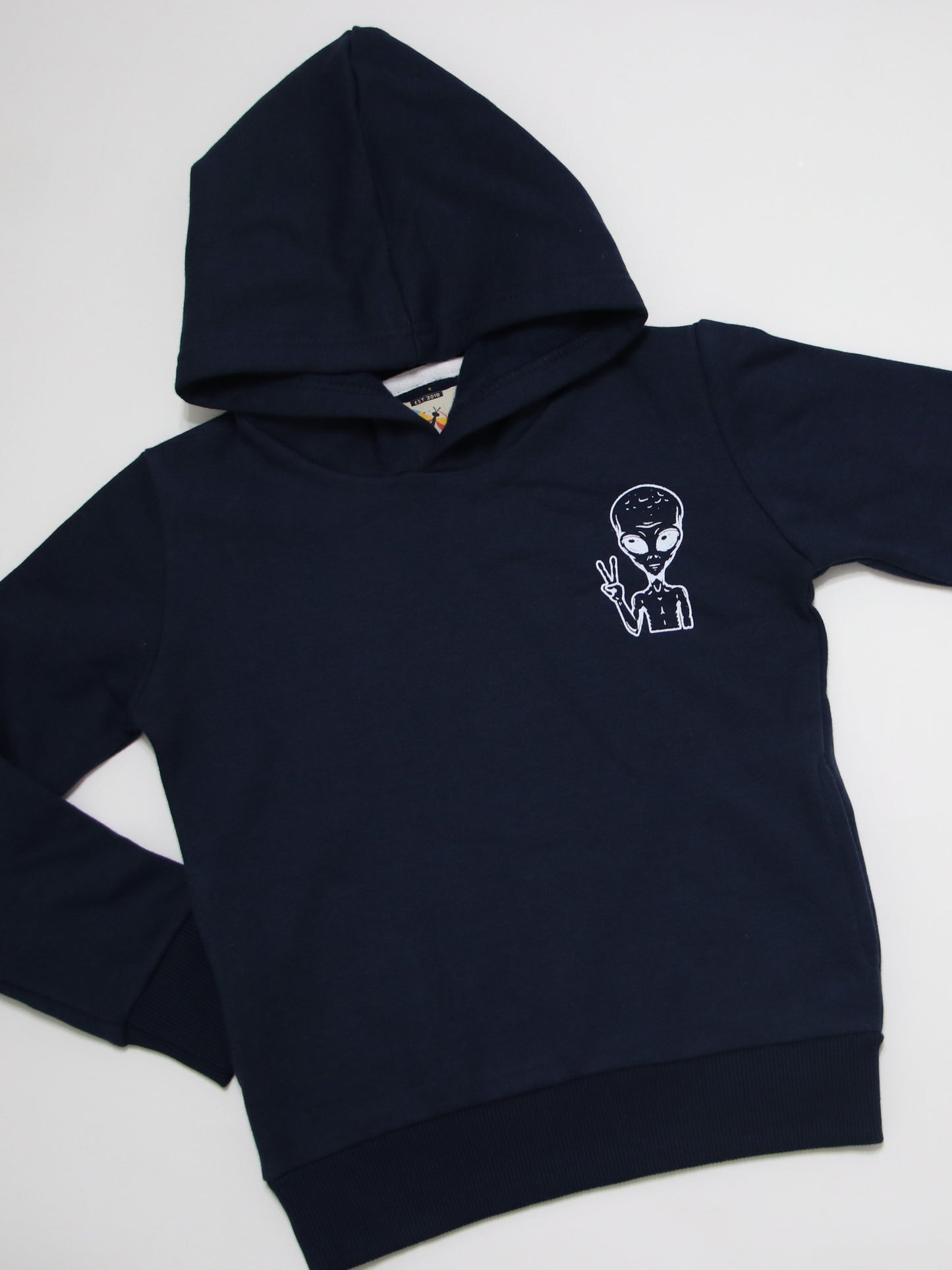 Navy Alien Hoodie