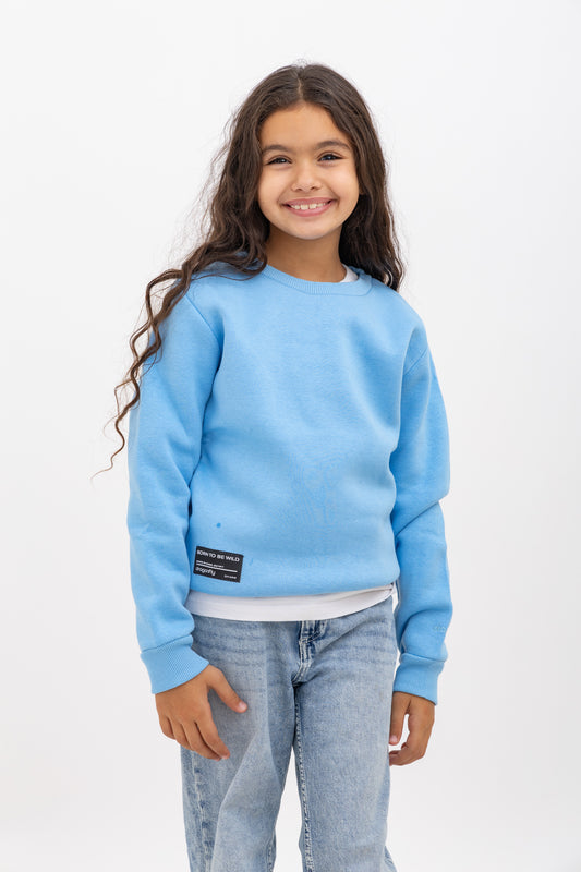 Baby Blue Crewneck